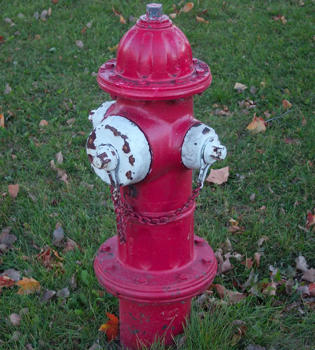 fire hydrant là gì