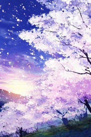 Phong cảnh anime với bầu trời đây sắc màu | Phong cảnh, Nhiếp ảnh ngoài  trời, Chụp ảnh phong cảnh