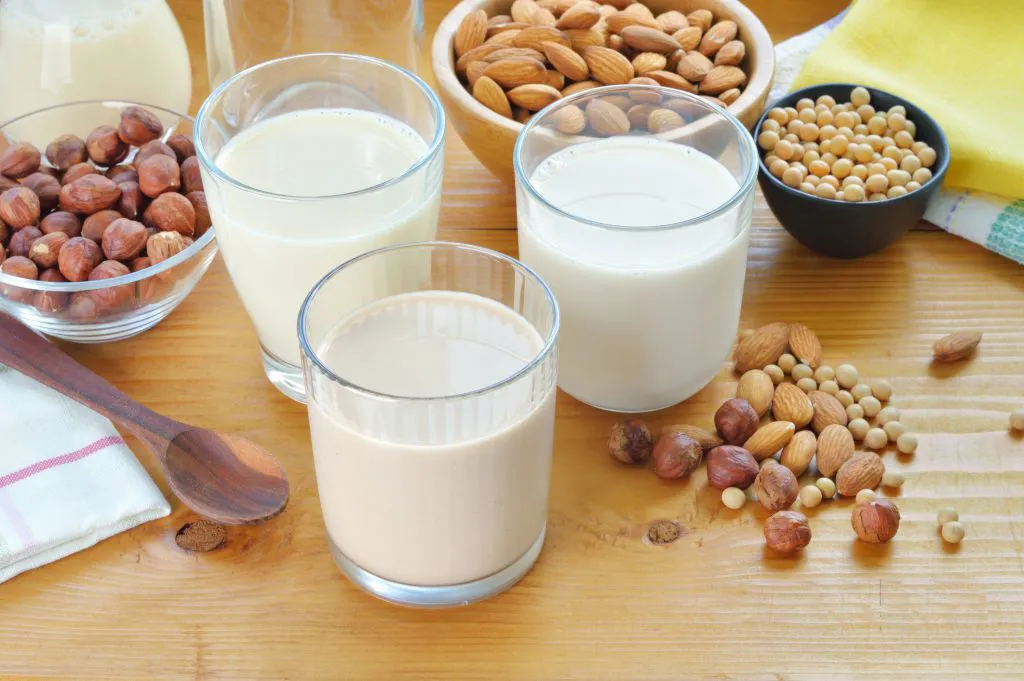 những loại sữa hạt đầy dinh dưỡng sữa hạt 5 công thức làm sữa hạt thơm ngon mỗi ngày sua hat 1024x681