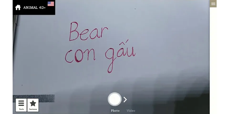 Con gấu trong Tiếng Anh đọc là gì - Hỏi - Đáp