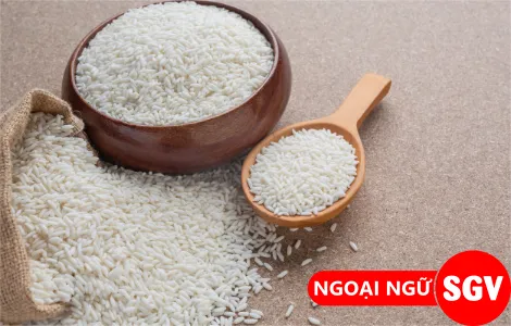 Nấu tại tiếng Anh là gì - Hỏi - Đáp