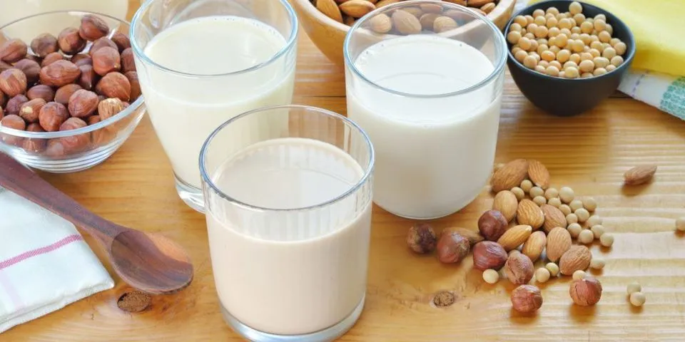 Top 8 nấu sữa hạt sen bằng máy làm sữa hạt 2022