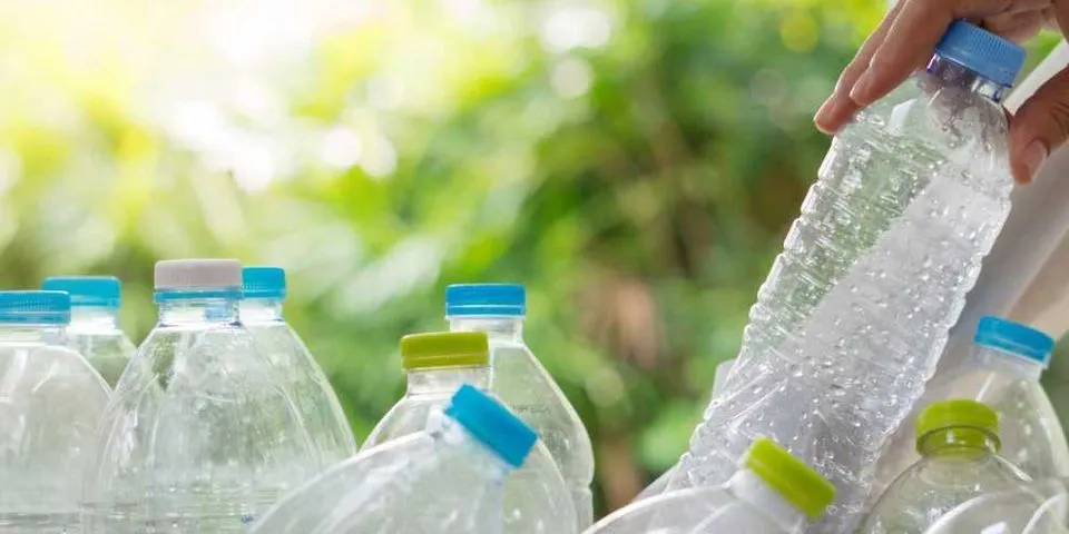 Top 8 tái chế chai nhựa thành con vật 2022