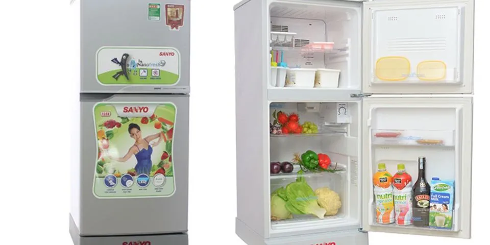 Top 9 tủ lạnh giá rẻ dưới 3 triệu điện máy xanh 2022