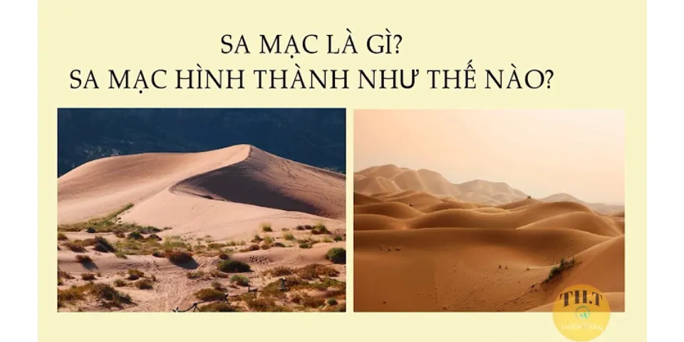 Sa mạc là gì